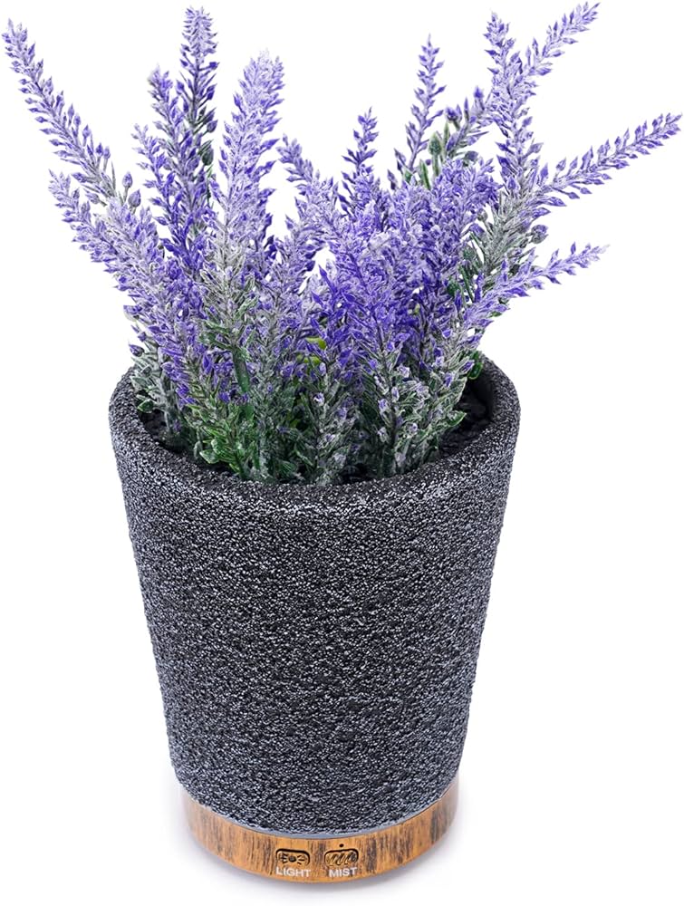 Can a Diffuser Be Used As a Humidifier for Plants