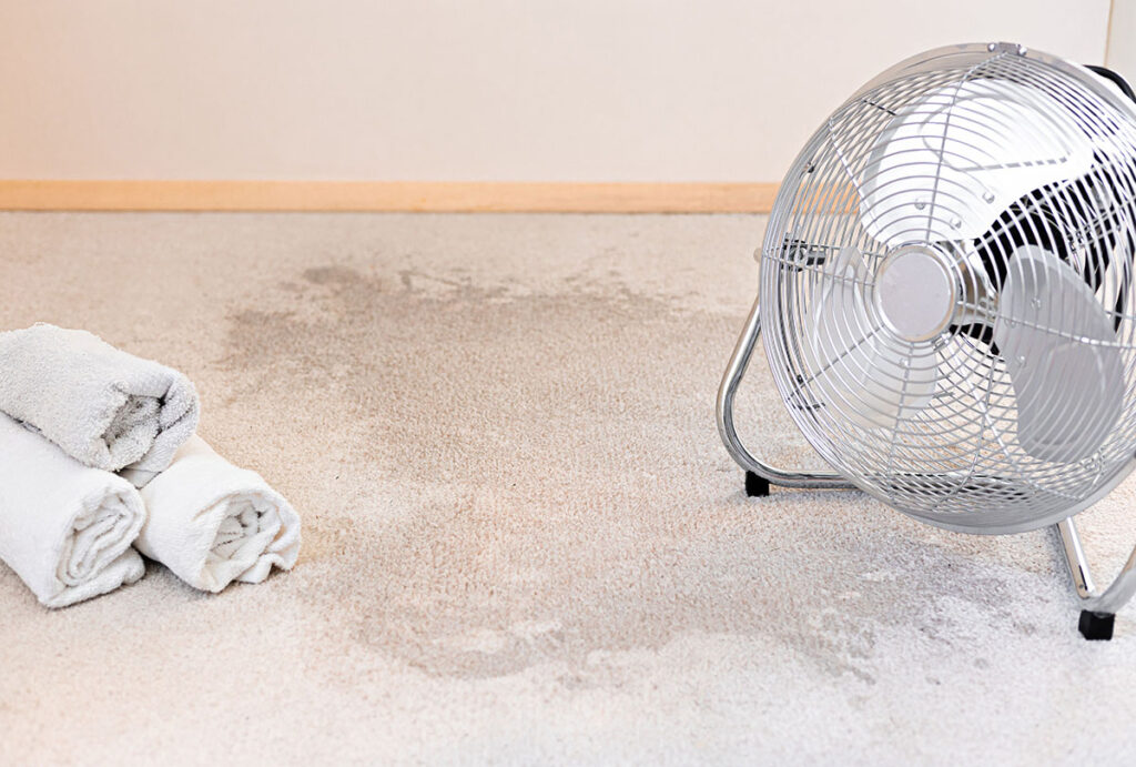 Can a Humidifier Cause Mold in Carpet