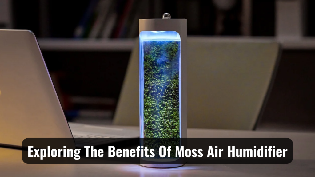 Exploring The Benefits Of Moss Air Humidifier